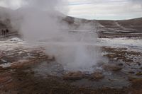 
DSC00060